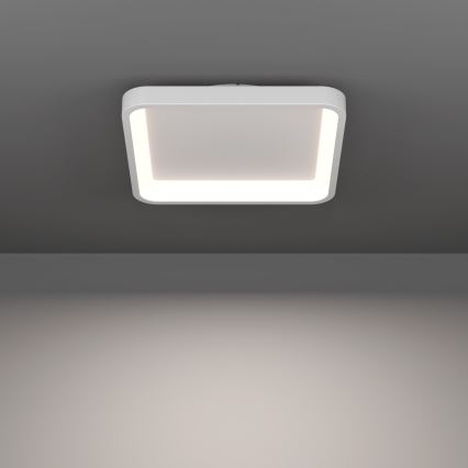 Eglo - LED RGBW dæmpbar loftlampe LED/20W/230V 2700-6500K 35x35 cm hvid