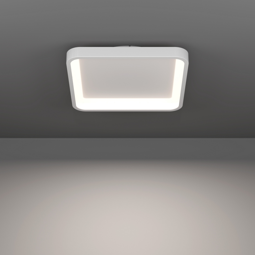 Eglo - LED RGBW dæmpbar loftlampe LED/20W/230V 2700-6500K 35x35 cm hvid