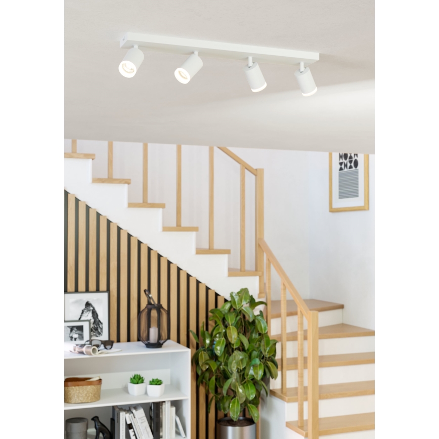 Eglo - LED RGBW Dæmpbar spotlampe 4xLED/3,7W/230V 2700-6500K hvid