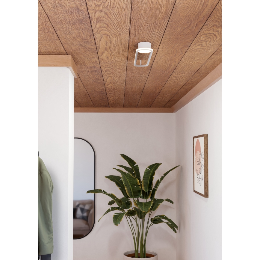 Eglo - LED-loftarmatur LED/24W/230V 2700/4000/6500K hvid