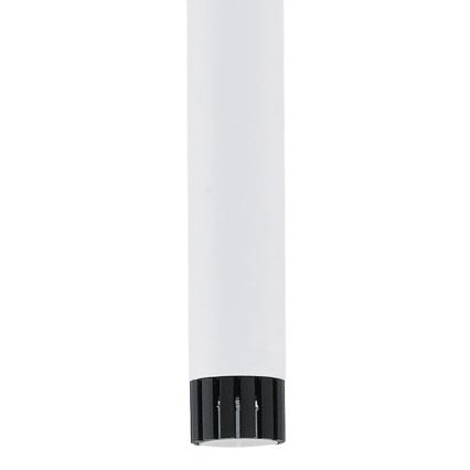 Eglo 93797 - LED pendel RAPARO 4xLED/5W/230V