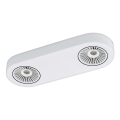 Eglo 94176 - LED spotlamper MONTALE 2xLED/5,4W/230V