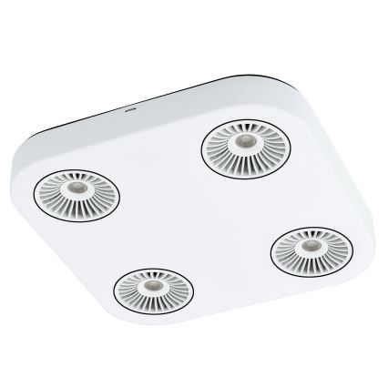 Eglo 94178 - LED spotlamper MONTALE 4xLED/5,4W/230V