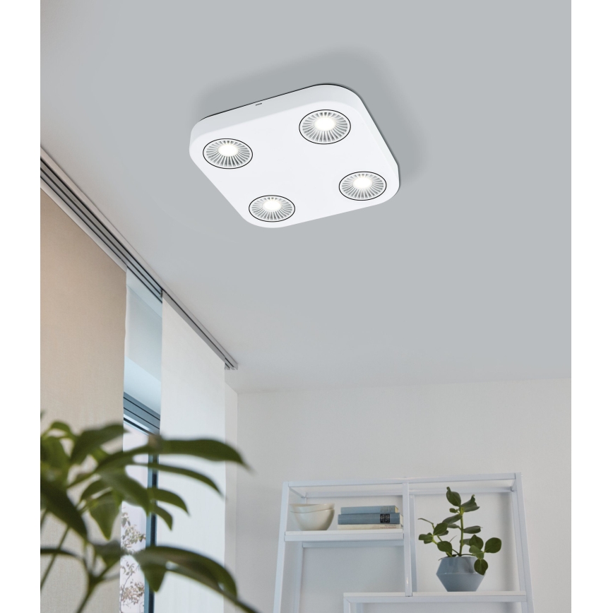 Eglo 94178 - LED spotlamper MONTALE 4xLED/5,4W/230V