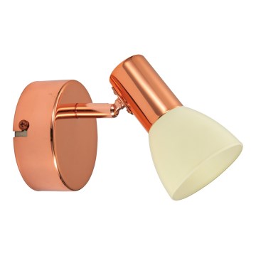 Eglo 94736 - LED-spotlampe GLOSSY 2 LED/5W/230V