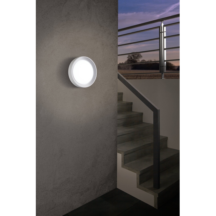 Eglo - LED udendørsbelysning 1xLED/8,2W/230V IP44