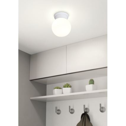 Eglo - Loftlampe 1xE27/28W/230V