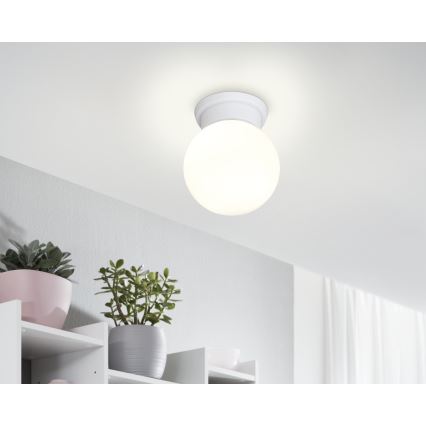 Eglo - Loftlampe 1xE27/28W/230V