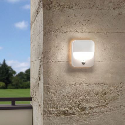 Eglo 95074 - Udendørs væglys med sensor TRABADA 1xE27/40W/230V IP44