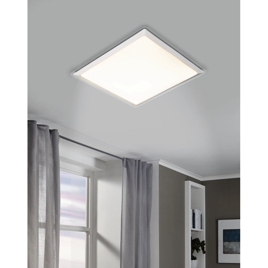 Eglo - LED loftsbelysning LED/24W/230V