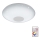 Eglo 95971 - LED-dæmpbar loftlampe VOLTAGO 2 LED/14W/230V + fjernbetjening