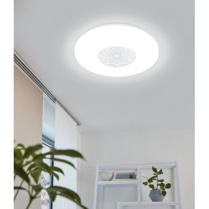 Eglo - LED loftsbelysning LED/24W/230V