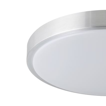 Eglo - LED loftsbelysning LED/24W/230V