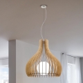 Eglo 96215 - Loftlampe TINDORI 1xE27/60W/230V