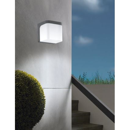 Eglo - Udendørs LED væglampe LED/4,9W/230V IP44