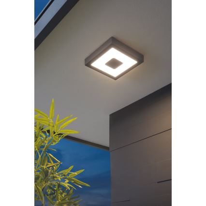 Eglo - LED venkovní lofts lys LED/16,5W/230V IP44