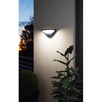 Eglo 97312 - LED Udendørs væglampe med sensor BELCREDA LED/9,3W/230V IP44