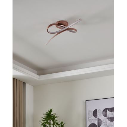 Eglo - LED fastmonteret lysekrone 2xLED/11W/230V