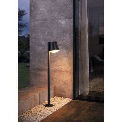 Eglo - Udendørs LED lampe m. RGB-farver dæmpbar CALDIERO-C 1xE27/9W/230V antracit IP44