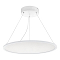 Eglo 97505 - Dæmpbar LED-pendel på wire SARSINA LED/36W/230V
