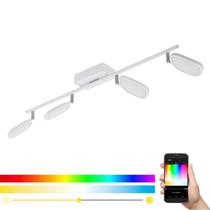 Eglo 97694 - LED RGB Spotlampe PALOMBARE-C 4xLED/5W/230V