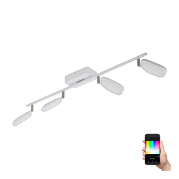 Eglo 97694 - LED RGB Spotlampe PALOMBARE-C 4xLED/5W/230V