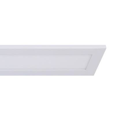 Eglo - LED panel LED/40W/230V hvid