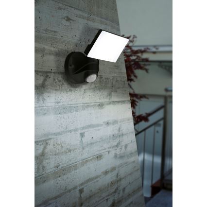 Eglo - Udendørs LED væglampe med sensor LED/15W/230V IP44