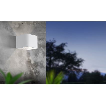 Eglo - Udendørs LED væglampe LED/6W/230V IP55