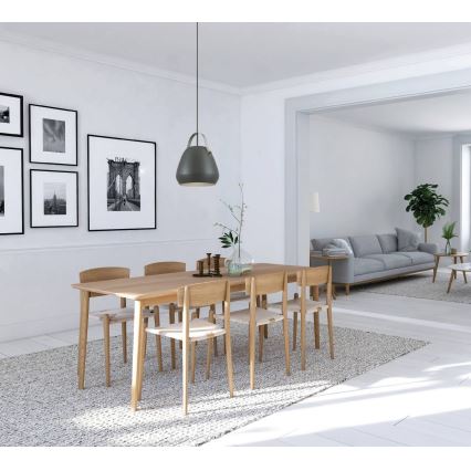 Eglo 98349 - BEDNALL pendel på wire 1xE27/60W/230V