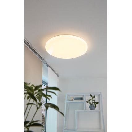 Eglo - LED loftsbelysning LED/49,5W/230V