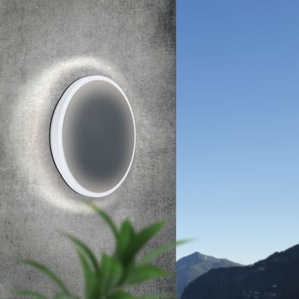 Eglo 98712 - LED udendørs væglampe MONGODIO LED/11,5W/230V IP44