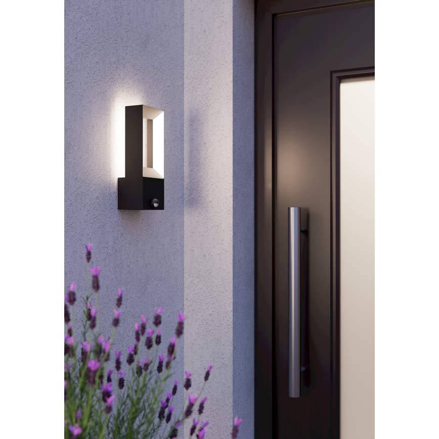 Eglo - LED udendørslampe med sensor 2xLED/5W/230V IP44