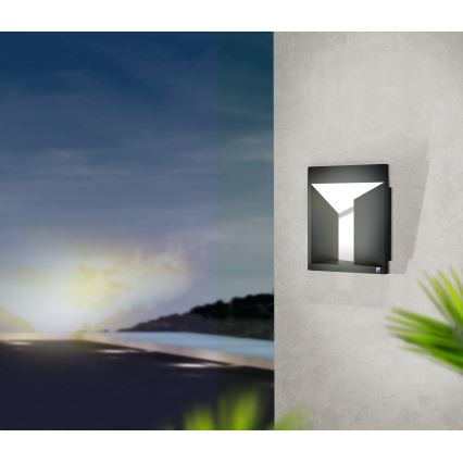 Eglo 98748 - LED udendørs væglampe NEMBRO LED/10W/230V IP54