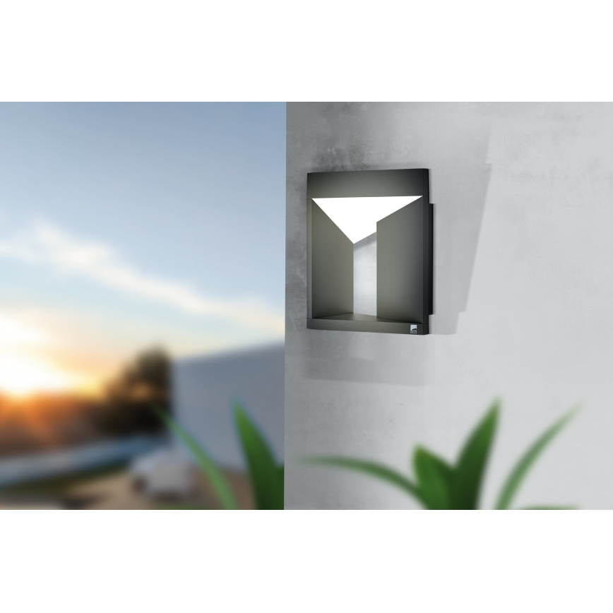 Eglo - LED Udendørs væglys LED / 10W / 230V IP54