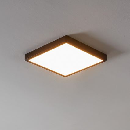 Eglo - LED badeværelseslampe dæmpbar LED/19,5W/230V IP44 ZigBee