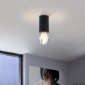 Eglo 99065 - Loftlampe SALUZZO 1xE27/40W/230V