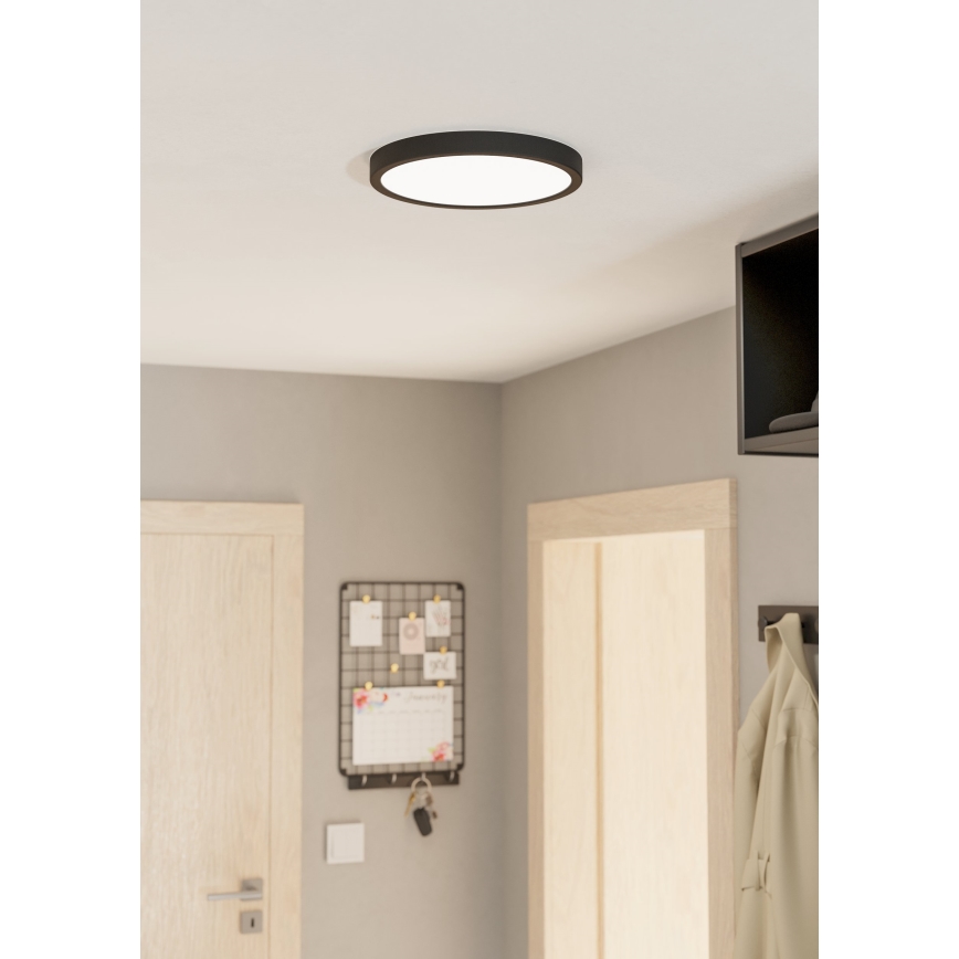 Eglo - LED loftlampe dæmpbar LED/20W/230V
