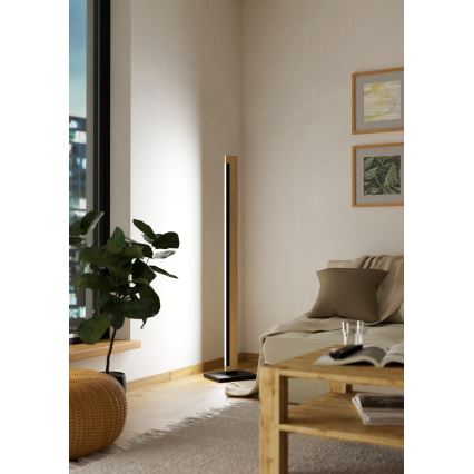Eglo - LED Dæmpbar touch-funktion gulvlampe CAMACHO LED/22W/230V
