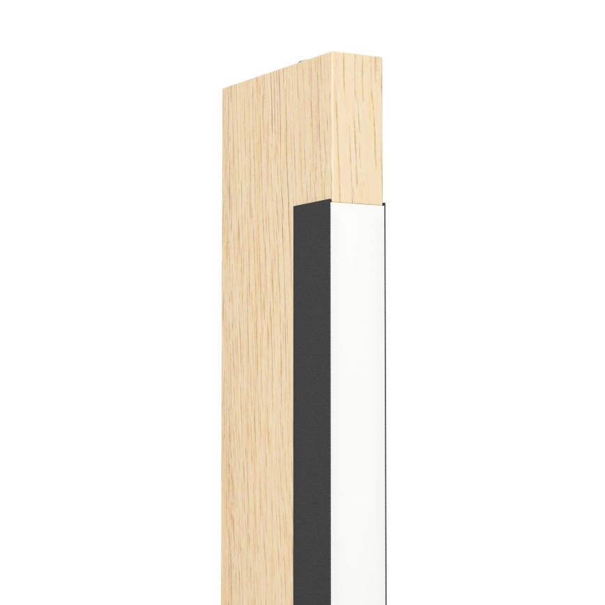 Eglo - LED Dæmpbar touch-funktion gulvlampe CAMACHO LED/22W/230V