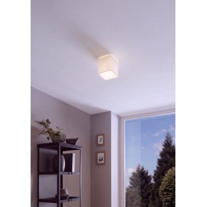 Eglo - Lofts lys 1xE27/28W/230V