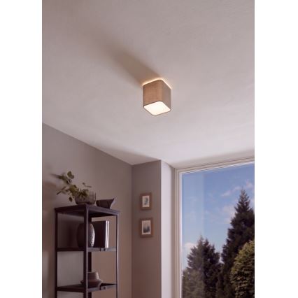 Eglo - Lofts lys 1xE27/28W/230V
