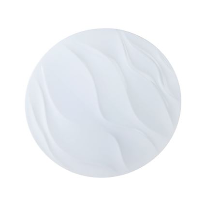 Eglo - LED loftsbelysning LED/22W/230V