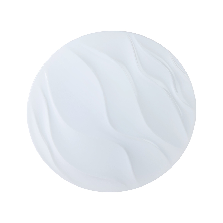 Eglo - LED loftsbelysning LED/22W/230V