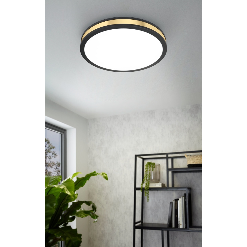 Eglo - LED loftlampe LED/24W/230V