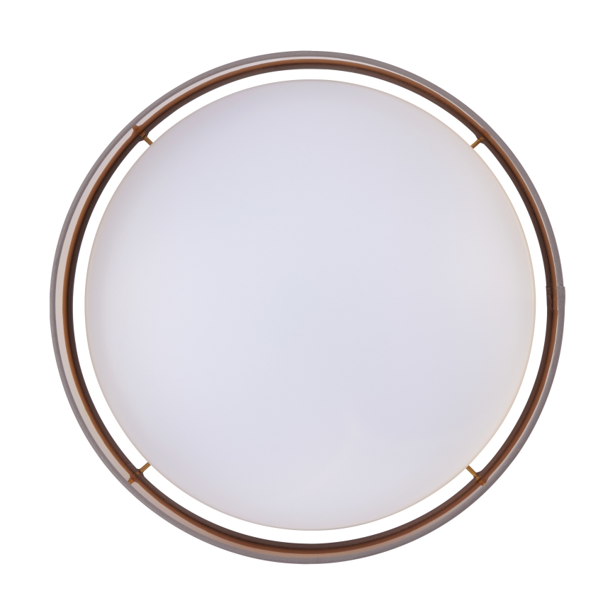 Eglo - LED loftlampe LED/24W/230V