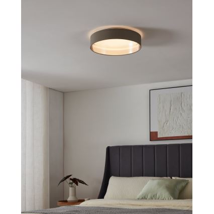 Eglo - LED loftlampe LED/24W/230V