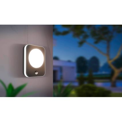 Eglo - Udendørs LED væglampe med sensor LED/9W/230V IP44