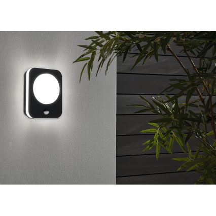 Eglo - Udendørs LED væglampe med sensor LED/9W/230V IP44