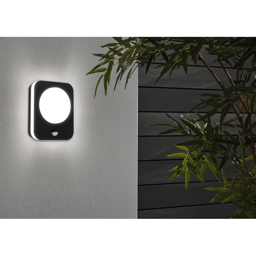 Eglo - Udendørs LED væglampe med sensor LED/9W/230V IP44